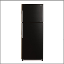 (image for) Hitachi R-H310P4H 255-Litre 2-Door Refrigerator - Click Image to Close