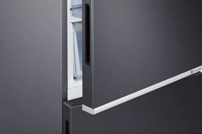 (image for) Samsung RB27N4050B1/SH 257-Litre 2-Door Refrigerator (Black / Bottom Freezer)